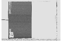 金座古文書（大判座後藤屋敷見取絵図）
