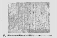 （甲判借用証文）