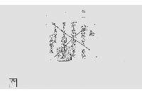 証（界紙代預り証）