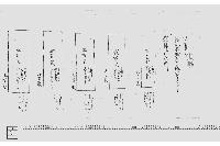 銭札本紙形値段書之事（札紙代金書上）