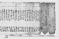 乍恐以書付奉願上候（年貢免除願）