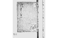 諸事記地面間数沽券金上り高書上