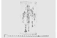 送り状之事（飛脚に付送り状）