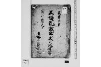 大坂乱放出火之次第写