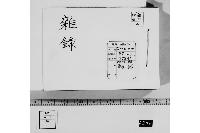 雑録