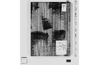 泰平年表・巻之五